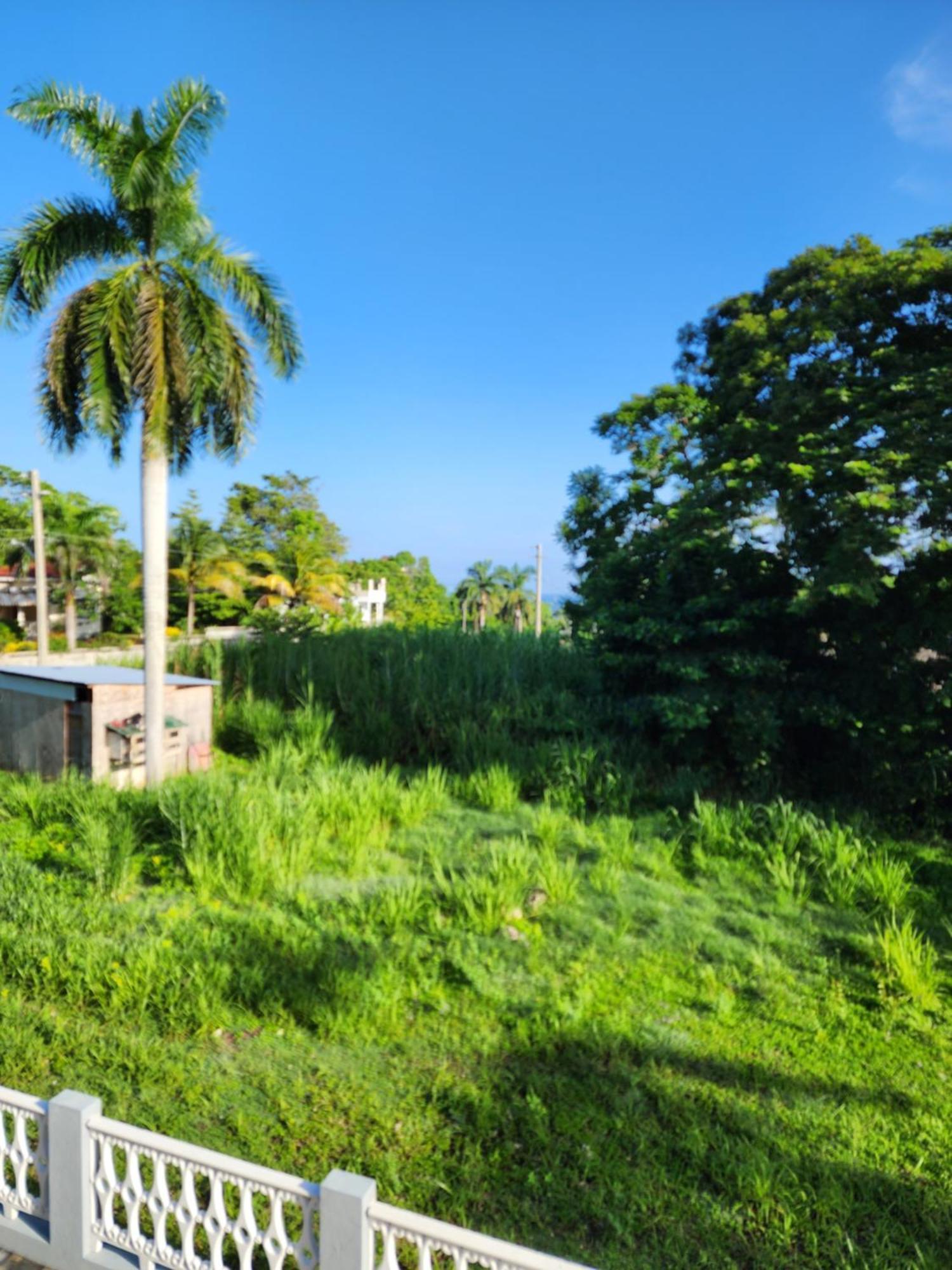 Paradise Nestled Between Montego Bay And Negril Hopewell Exterior photo